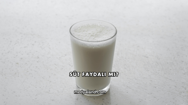 Süt Faydalı mı?