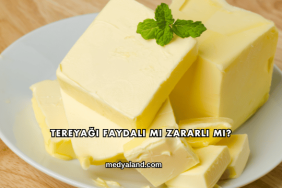 Tereyağı Faydalı mı Zararlı mı?