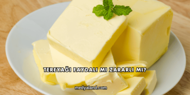 Tereyağı Faydalı mı Zararlı mı?