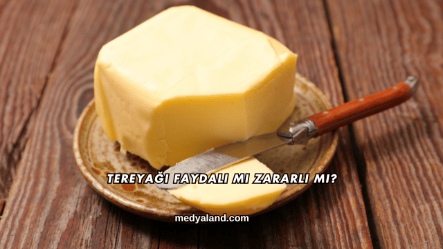 Tereyağı Faydalı mı Zararlı mı?