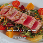 Ton Balığı Faydalı mı?