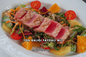 Ton Balığı Faydalı mı?