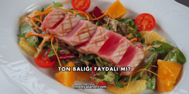 Ton Balığı Faydalı mı?