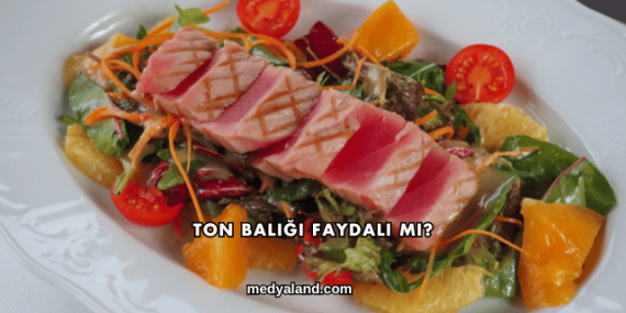 Ton Balığı Faydalı mı?