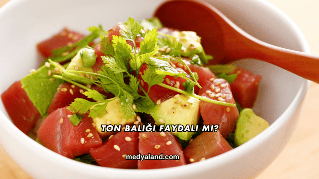 Ton Balığı Faydalı mı?