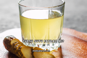 Turşu Suyu Faydalı mı?