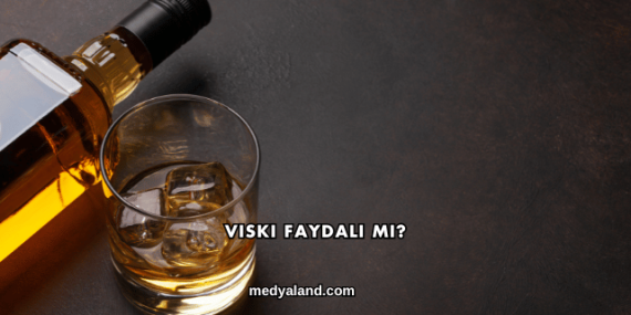 Viski Faydalı mı?