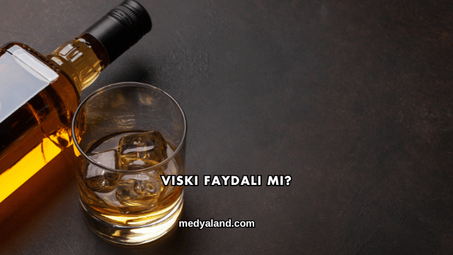Viski Faydalı mı?
