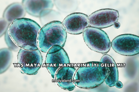 Yaş Maya Ayak Mantarına İyi Gelir mi?