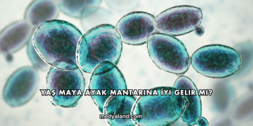 Yaş Maya Ayak Mantarına İyi Gelir mi?