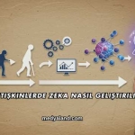 Yetişkinlerde Zeka Nasıl Geliştirilir?