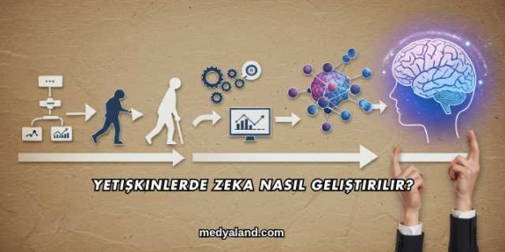 Yetişkinlerde Zeka Nasıl Geliştirilir?