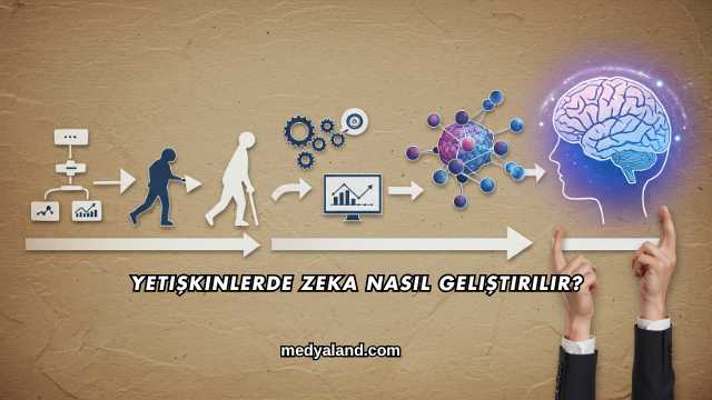 Yetişkinlerde Zeka Nasıl Geliştirilir?