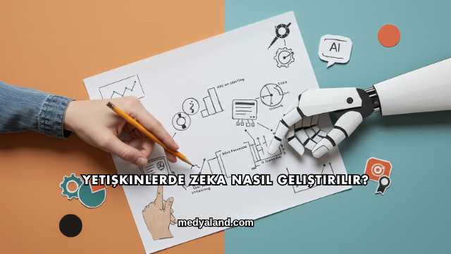 Yetişkinlerde Zeka Nasıl Geliştirilir?