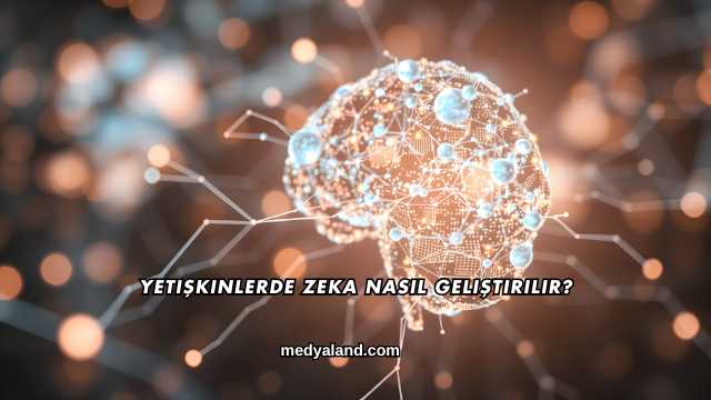 Yetişkinlerde Zeka Nasıl Geliştirilir?