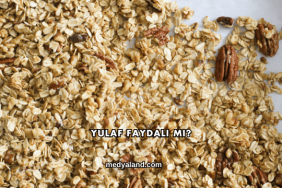 Yulaf Faydalı mı?