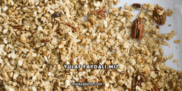 Yulaf Faydalı mı?
