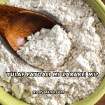 Yulaf Faydalı mı Zararlı mı?