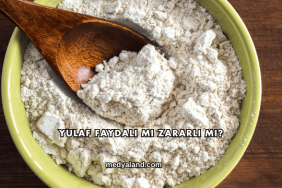 Yulaf Faydalı mı Zararlı mı?