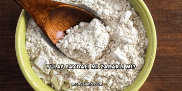 Yulaf Faydalı mı Zararlı mı?