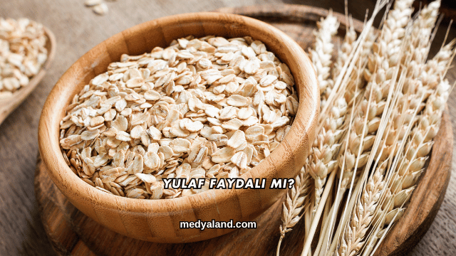 Yulaf Faydalı mı?