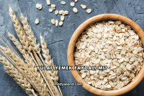 Yulaf Yemek Faydalı mı?