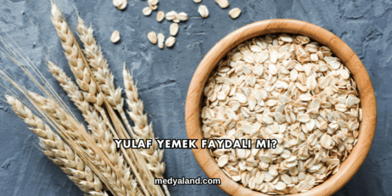 Yulaf Yemek Faydalı mı?