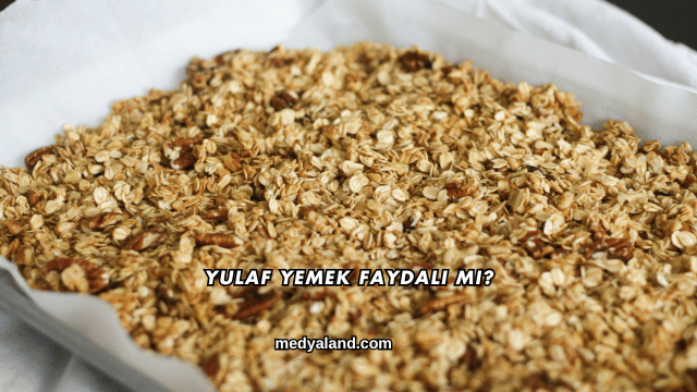 Yulaf Yemek Faydalı mı?