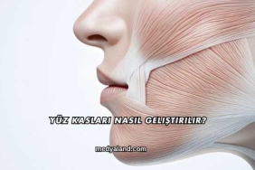 Yüz Kasları Nasıl Geliştirilir?