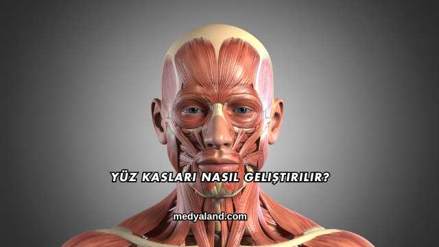 Yüz Kasları Nasıl Geliştirilir?