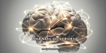 Zeka Nasıl Geliştirilir?