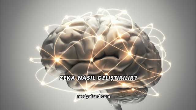 Zeka Nasıl Geliştirilir?