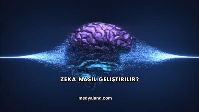Zeka Nasıl Geliştirilir?