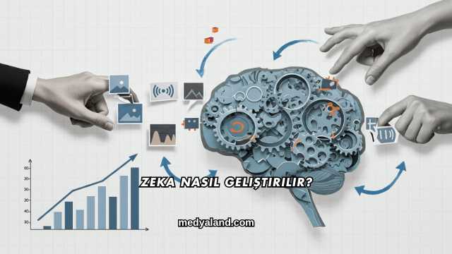 Zeka Nasıl Geliştirilir?