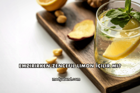 Emzirirken Zencefil Limon İçilir mi?