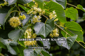 Gebelikte Ihlamur İçilir mi?