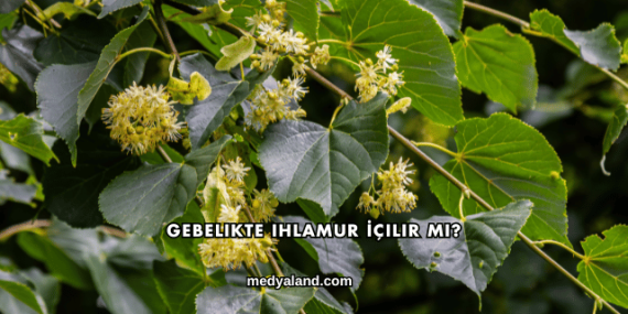 Gebelikte Ihlamur İçilir mi?