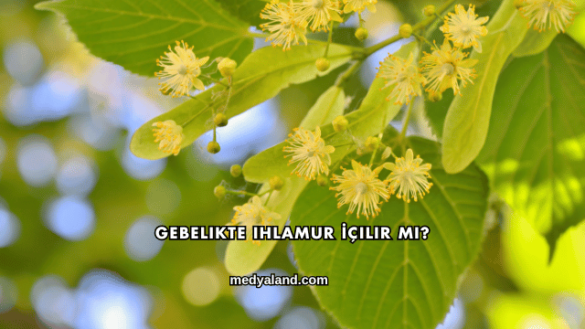 Gebelikte Ihlamur İçilir mi?