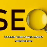 Google Bilgi Paneli Nedir?