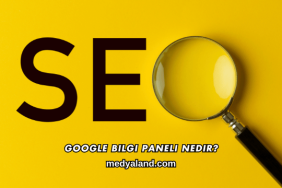 Google Bilgi Paneli Nedir?