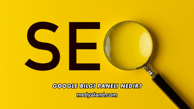 Google Bilgi Paneli Nedir?