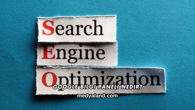 Google Bilgi Paneli Nedir?