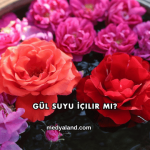 Gül Suyu İçilir mi?