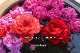 Gül Suyu İçilir mi?