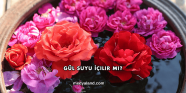 Gül Suyu İçilir mi?