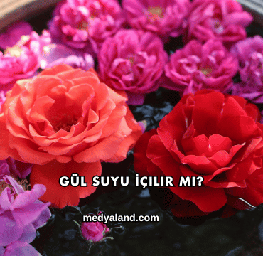 Gül Suyu İçilir mi?