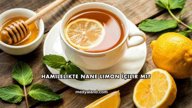 Hamilelikte Nane Limon İçilir mi?