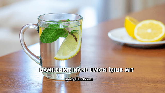 Hamilelikte Nane Limon İçilir mi?