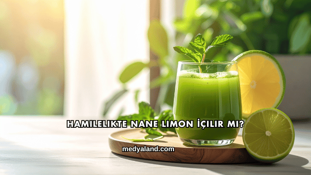 Hamilelikte Nane Limon İçilir mi?