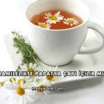 Hamilelikte Papatya Çayı İçilir mi?